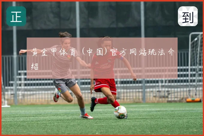 黄金甲体育 (中国)官方网站玩法介绍