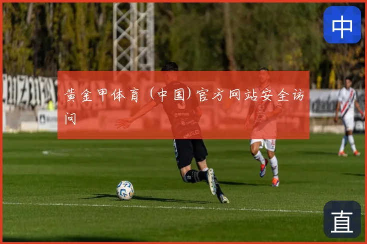 黄金甲体育 (中国)官方网站安全访问